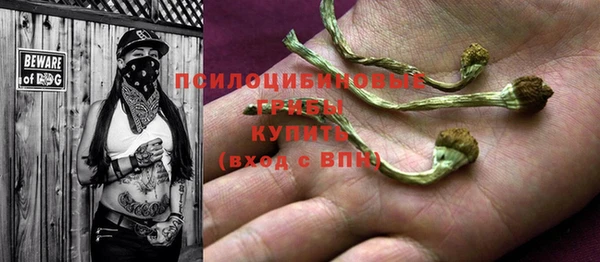 бутират Баксан